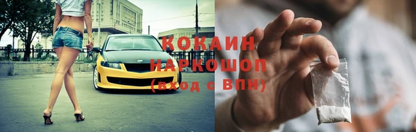 шишки Богородицк