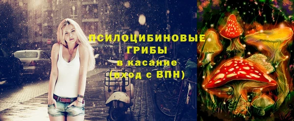 spice Видное