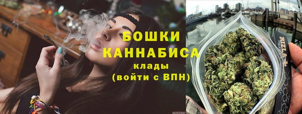 шишки Богородицк