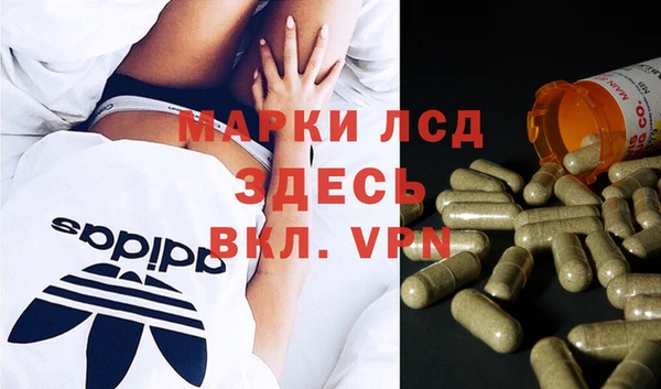 шишки Богородицк