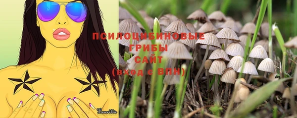 шишки Богородицк