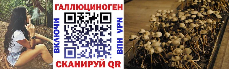 Галлюциногенные грибы ЛСД  Володарск 