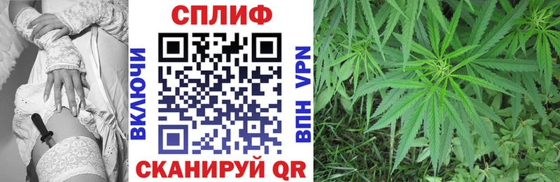 mega зеркало  где продают наркотики  Володарск  МАРИХУАНА сатива 